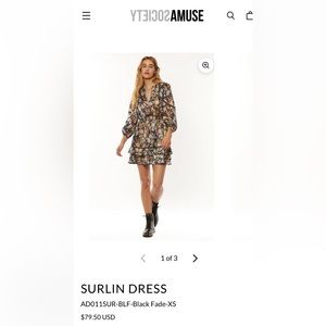 Amuse Society Surlin Dress